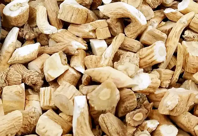 How to Choose High-Quality Isatis Root Extract Powder?